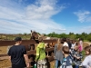 20180605_104248
